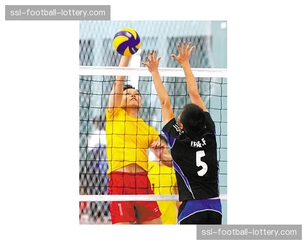 VAL排球联赛设置精英组、业余组、小排球组、幼儿排球四个组别